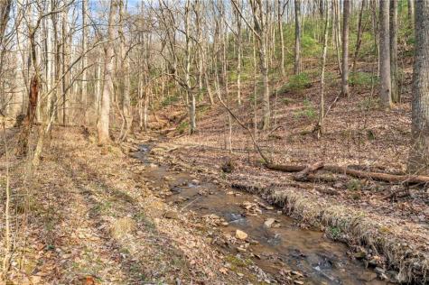 1250 Sutton Road Talking Rock GA 30175