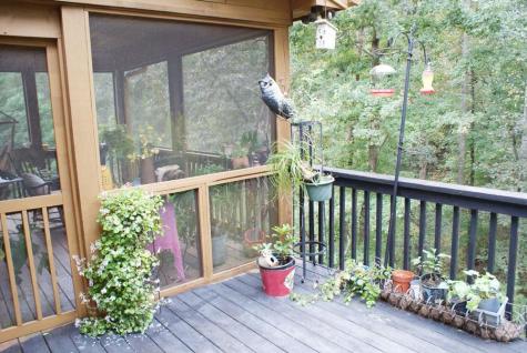 34 Matthew Court Dahlonega GA 30533