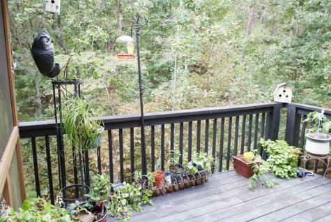 34 Matthew Court Dahlonega GA 30533