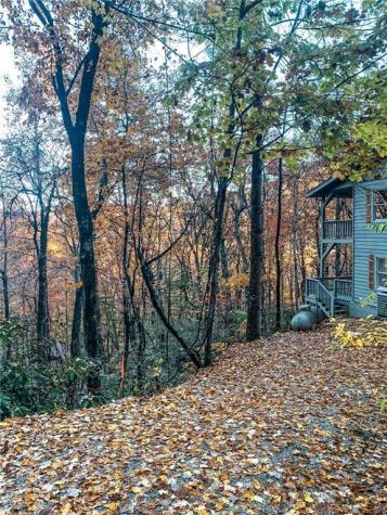 63 Mint Lane Clayton GA 30525