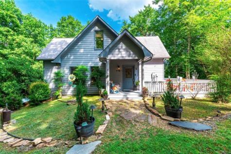 196 Pine Lane Mineral Bluff GA 30559