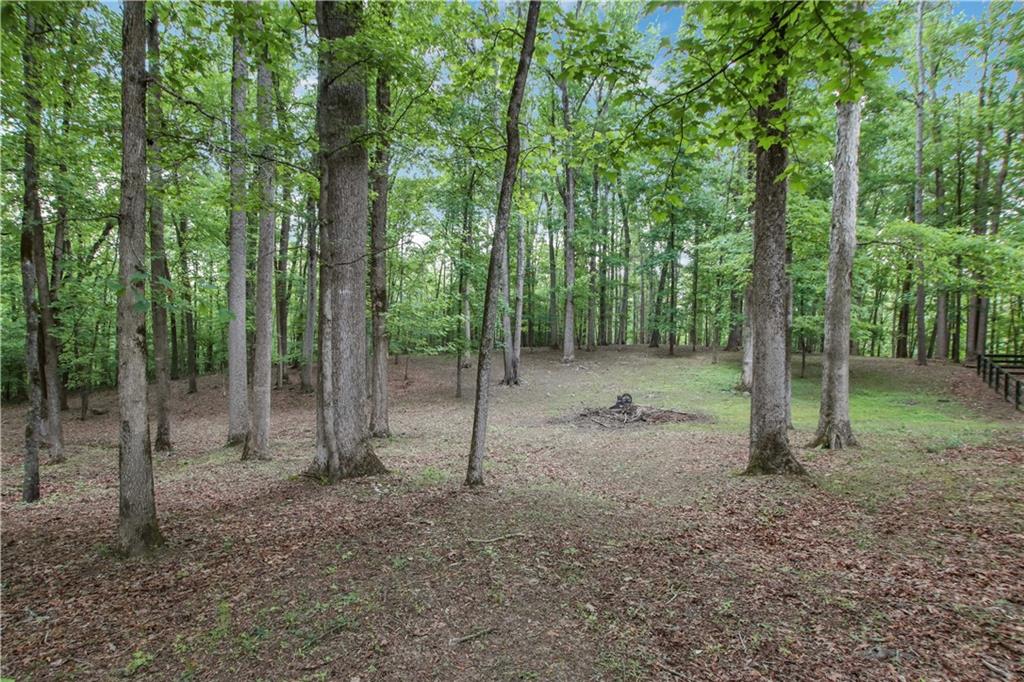 18568 Birmingham Highway Alpharetta GA 30004