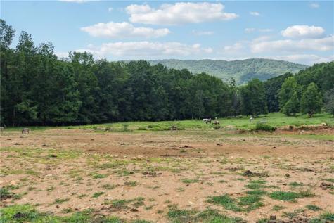 207 Canyon Pass Cleveland GA 30528