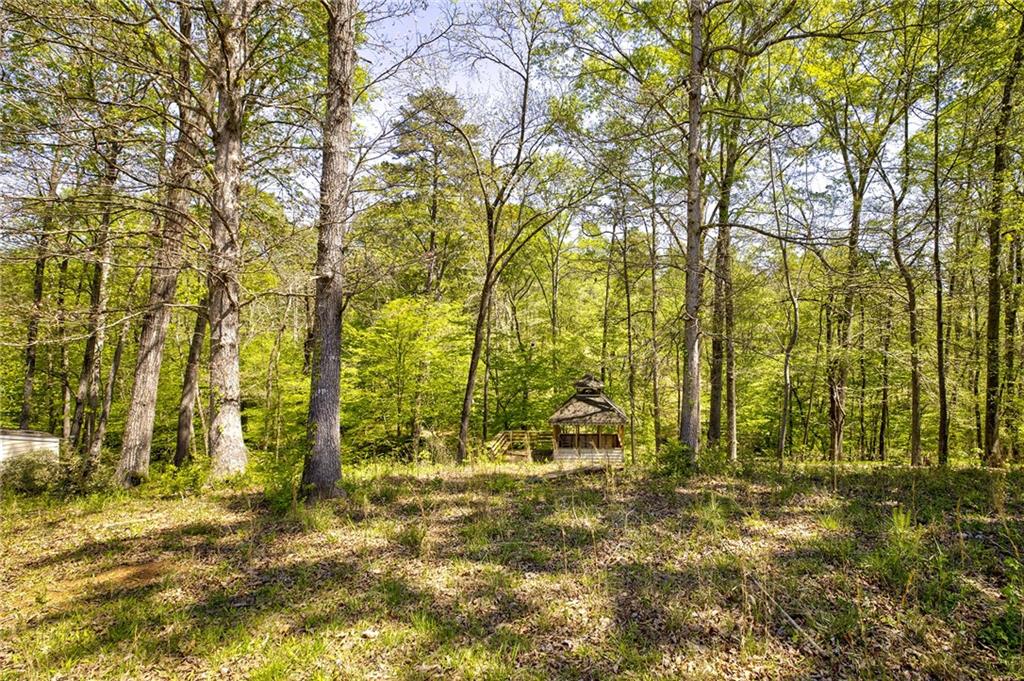 4201 Dunagan Road Gillsville GA 30543