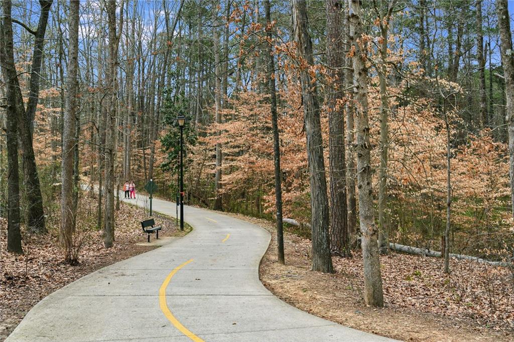 5291 Manhasset Cove Dunwoody GA 30338