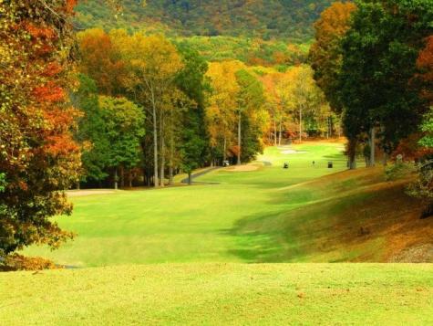 1353 Little Hendricks Mountain Talking Rock GA 30143