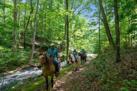 1353 Little Hendricks Mountain Talking Rock GA 30143