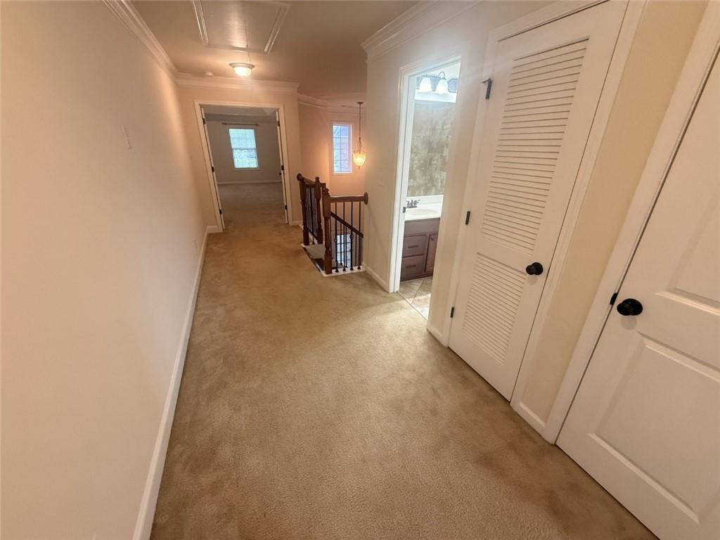 13276 Warrensville Cove Milton GA 30004