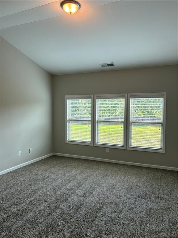 1335 Hampton Oaks Drive Alpharetta GA 30004