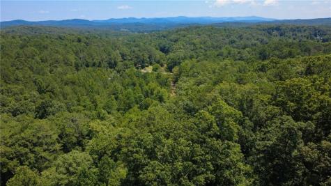 268 Creek Bank Drive Talking Rock GA 30175