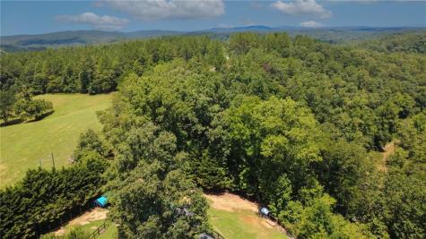 268 Creek Bank Drive Talking Rock GA 30175