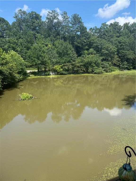 8945 Carroll Manor Drive Sandy Springs GA 30350