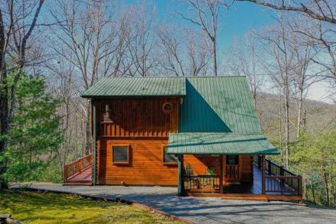 348 The Forest Has Eyes Blue Ridge GA 30513