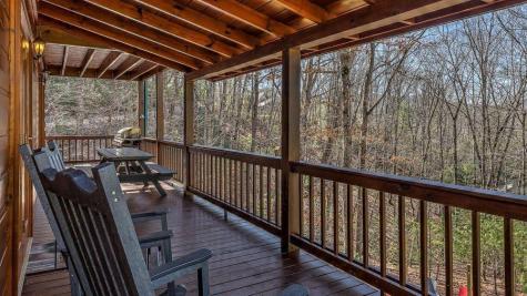 348 The Forest Has Eyes Blue Ridge GA 30513