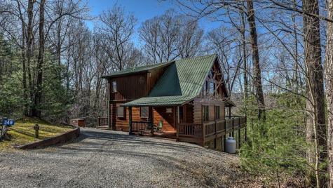348 The Forest Has Eyes Blue Ridge GA 30513