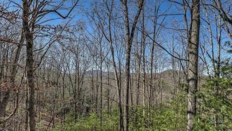 348 The Forest Has Eyes Blue Ridge GA 30513