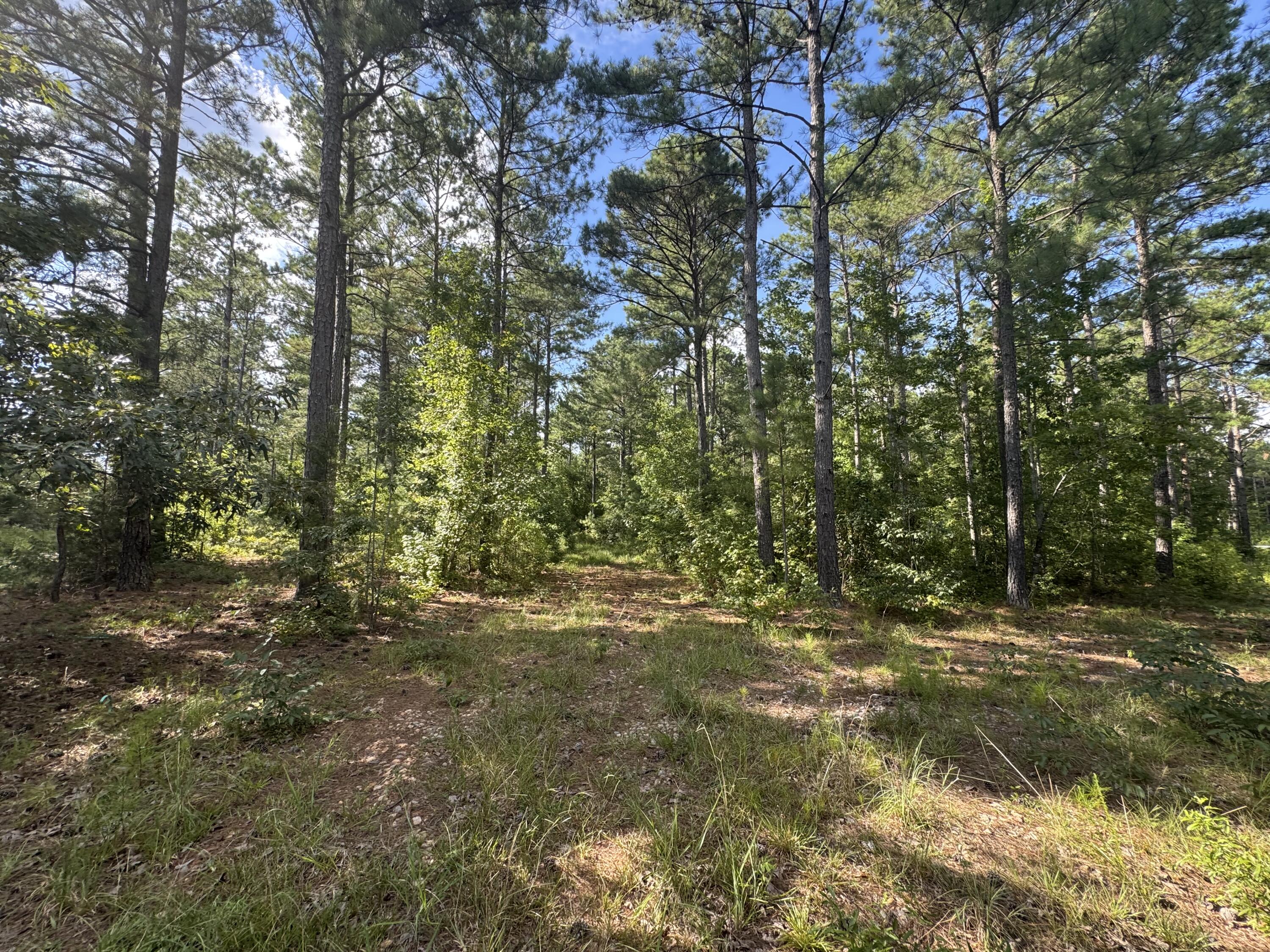 33ac Cross Creek Edgefield SC 29824