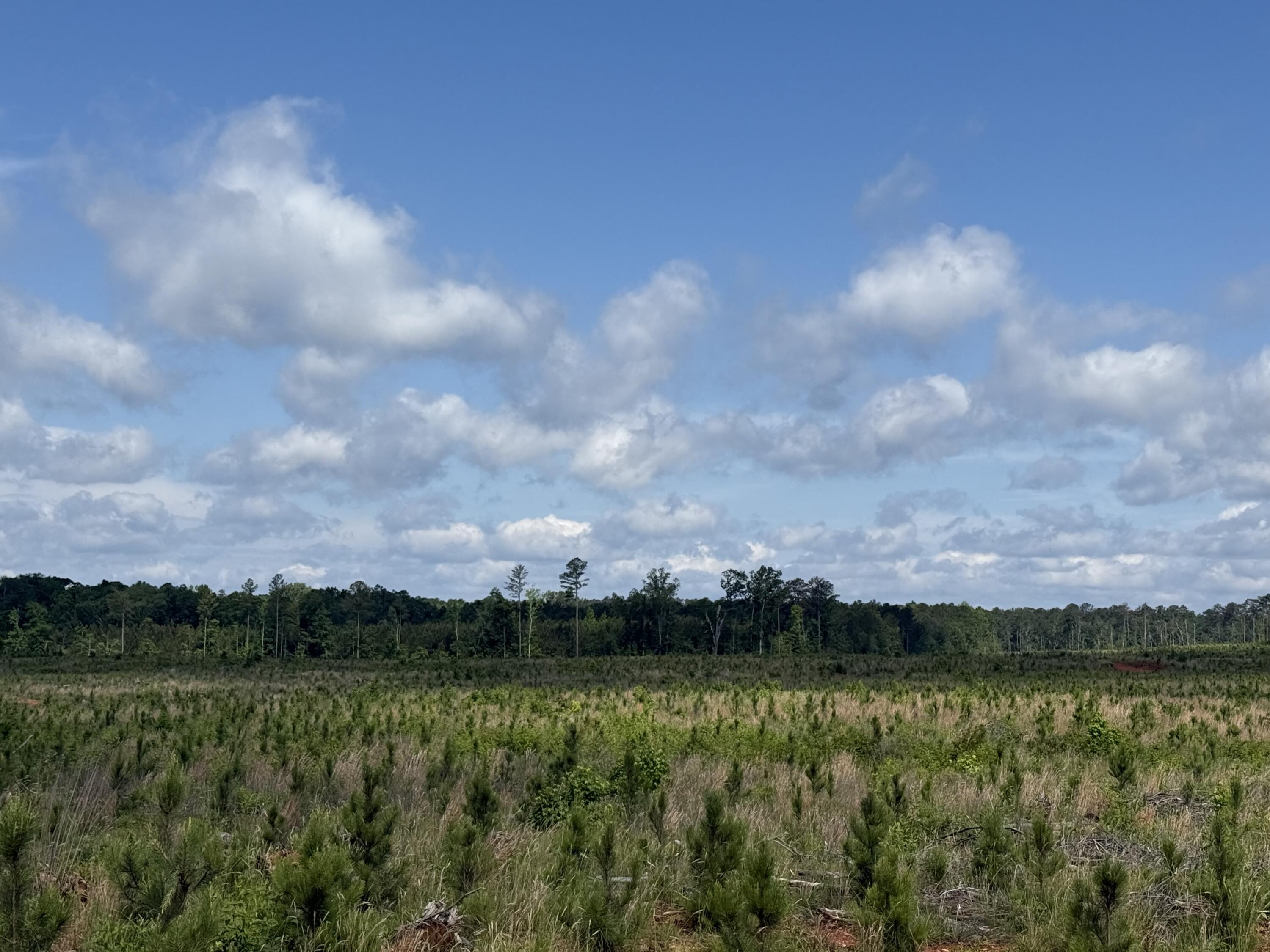 300 Highway 378 Edgefield SC 29824
