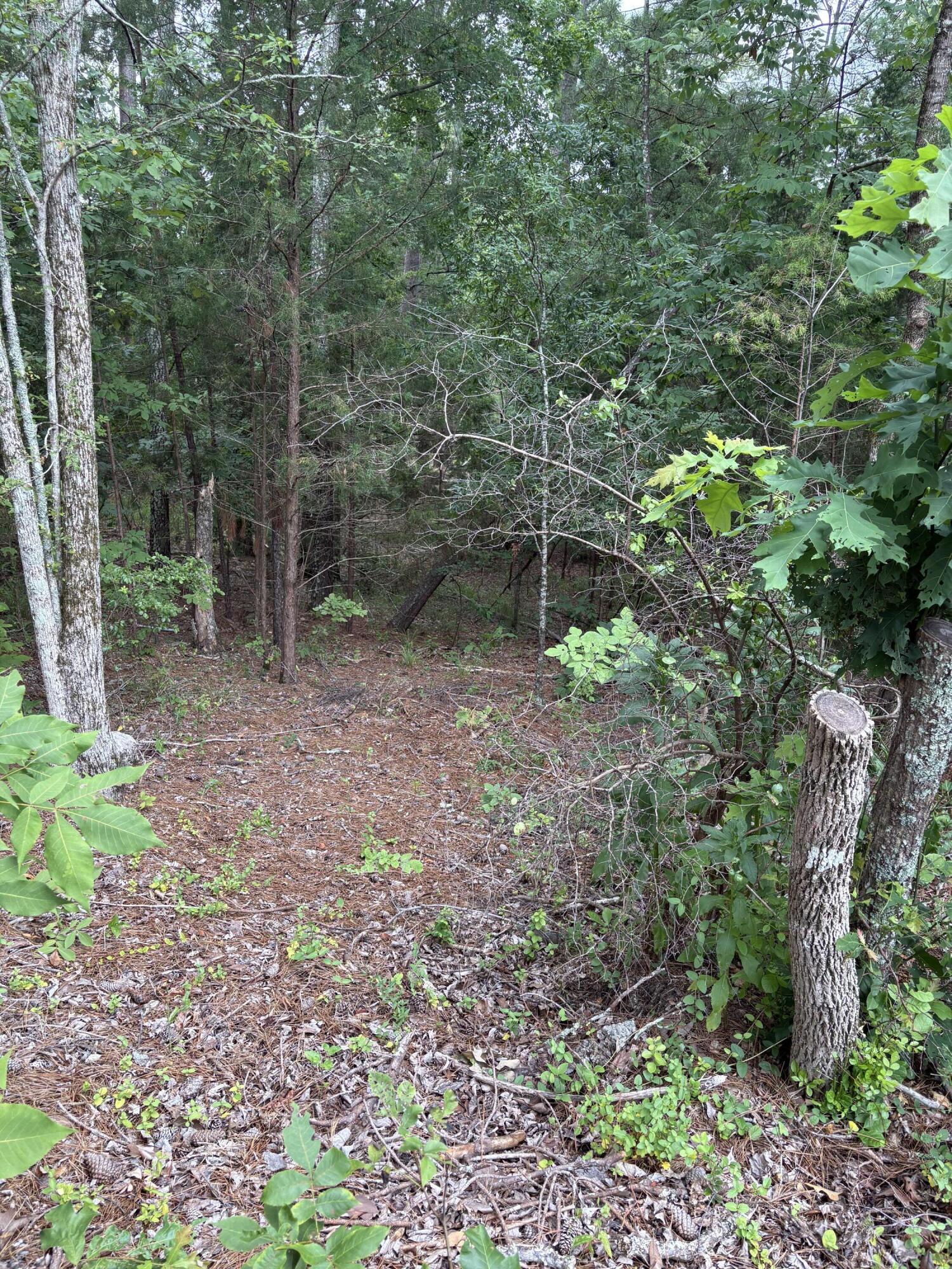 Lot 15 Overlook Point Mccormick SC 29835