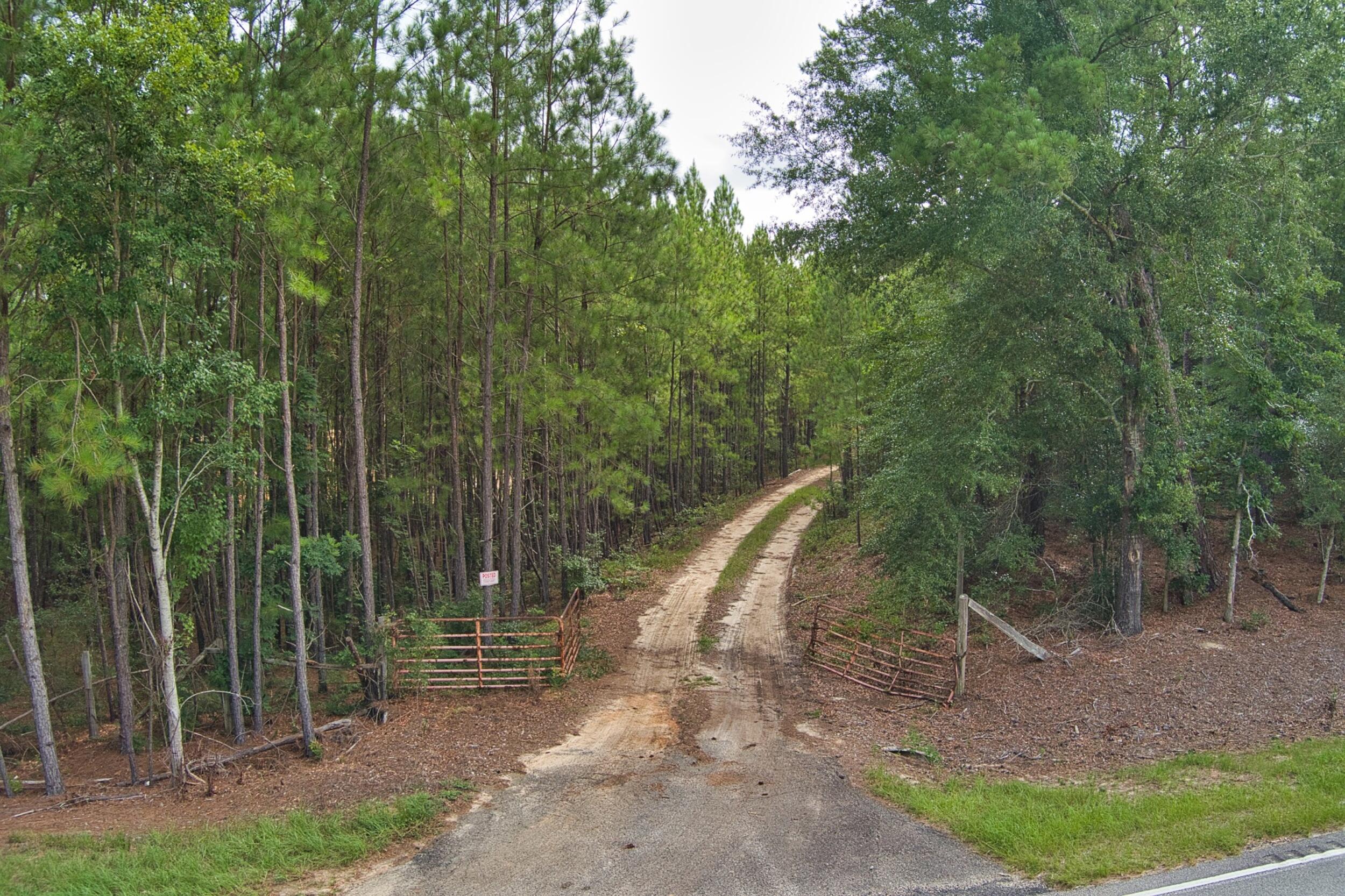 64.7 Acres Salley Road Salley SC 29137