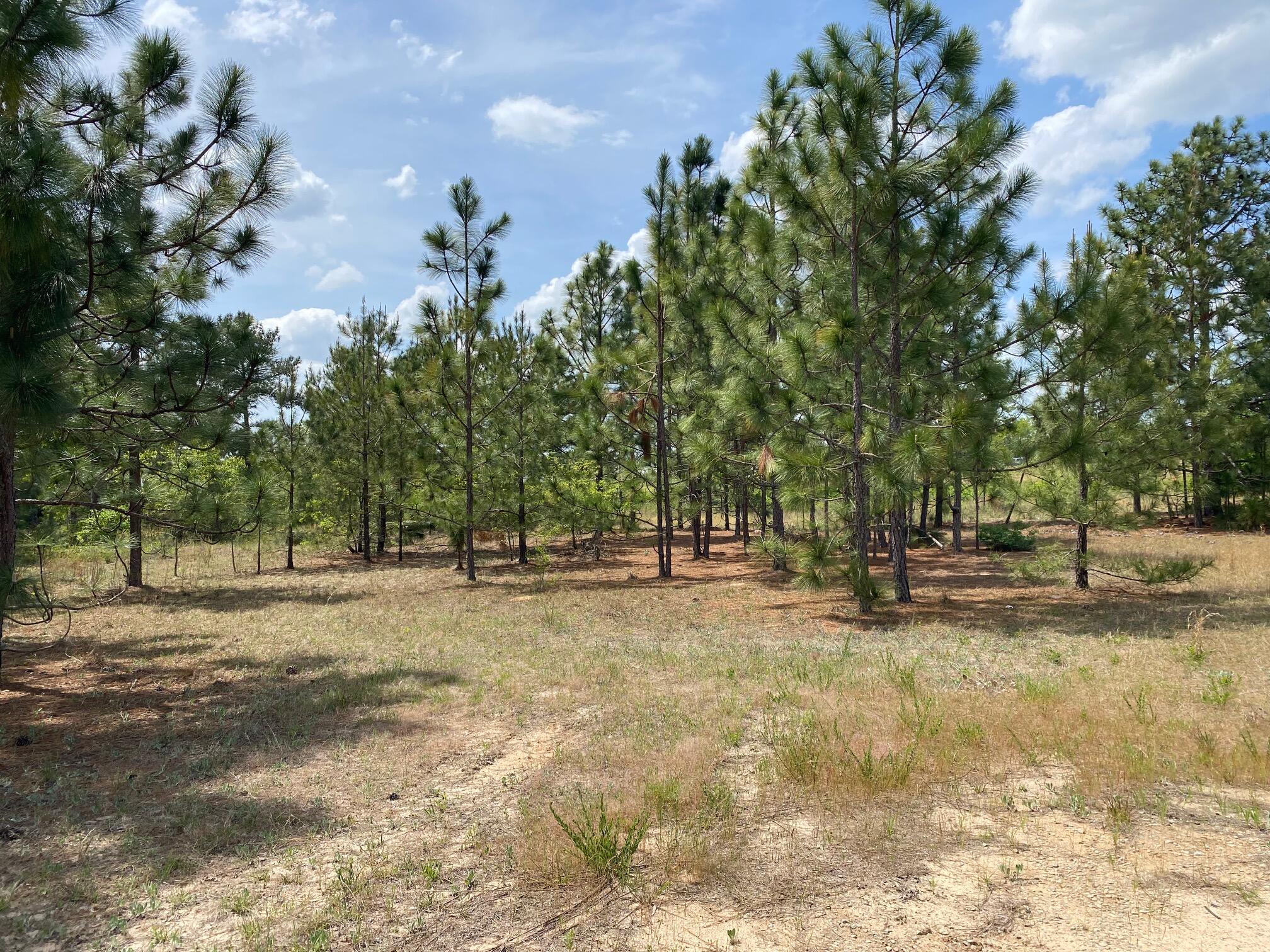 00 Hutto Pond Road Aiken SC 29805