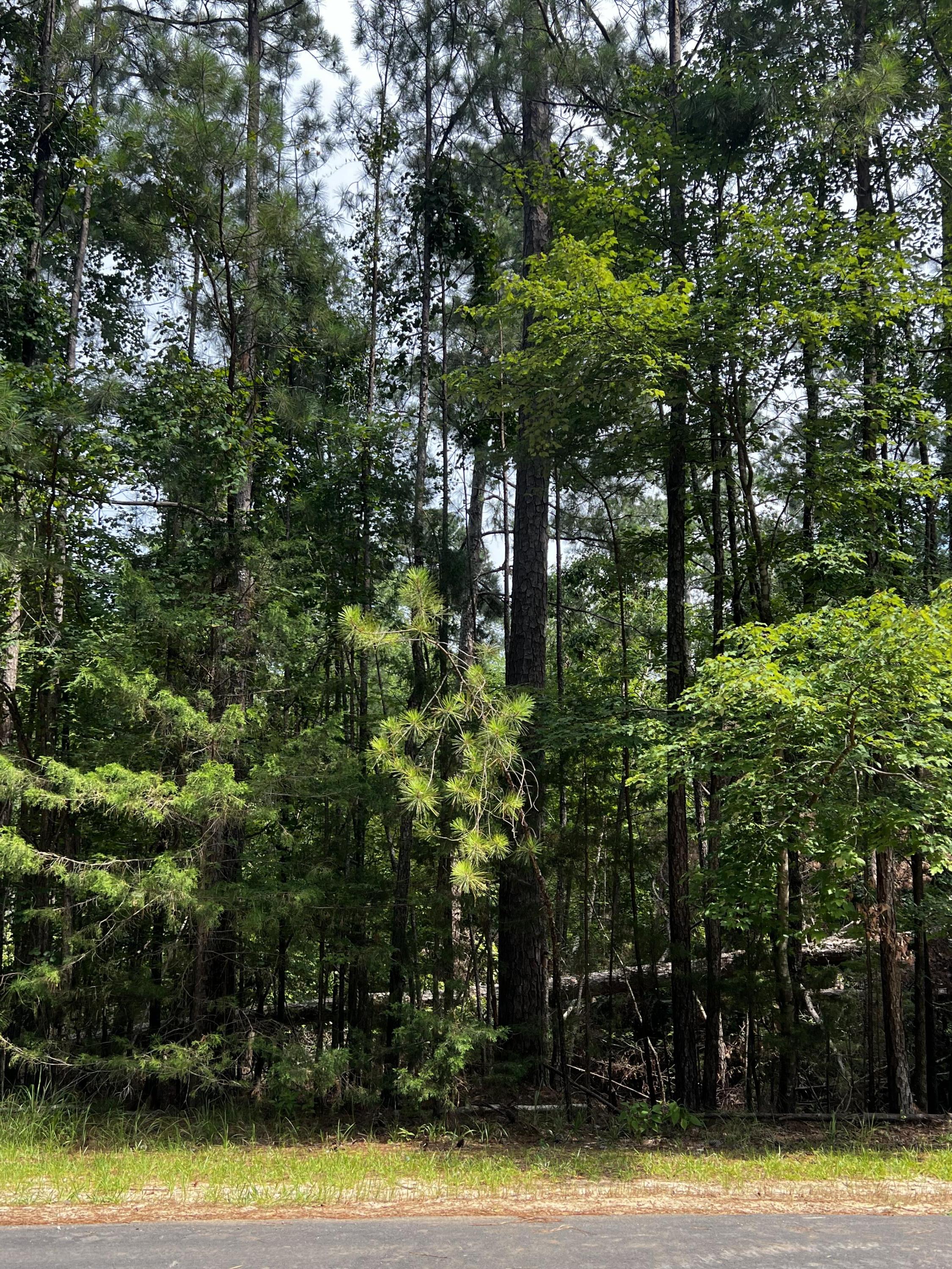 L5 B17 Creekside Cove Mccormick SC 29835