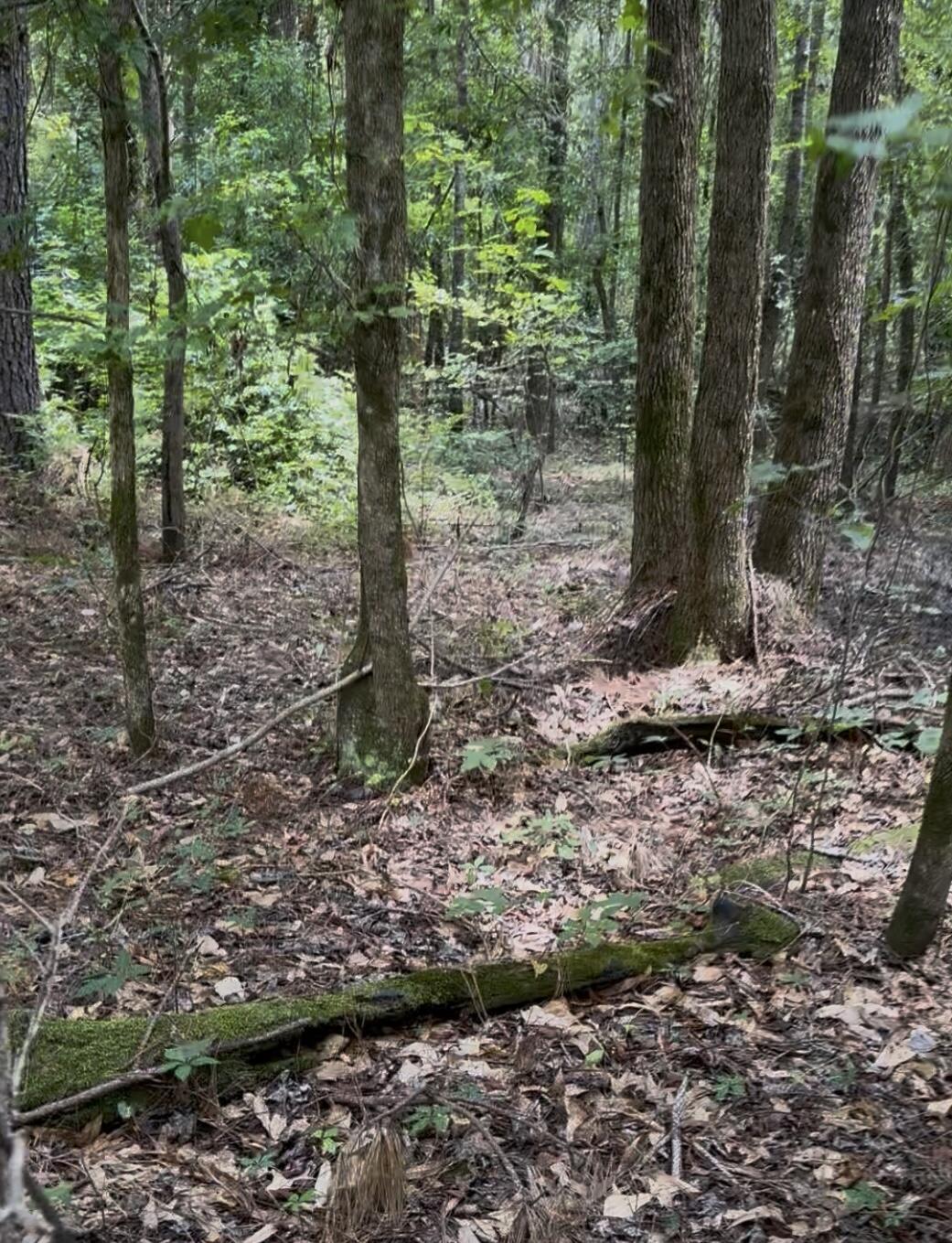 0 Walker Road Edgefield SC 29824