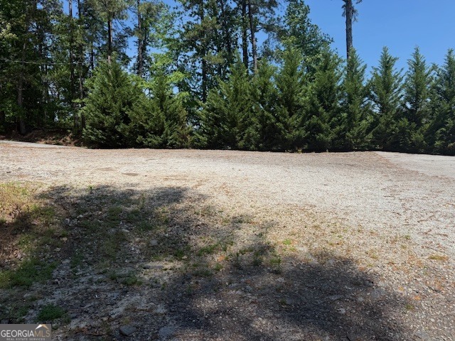 113 Foster Lake Road Dallas GA 30132