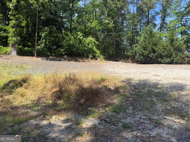113 Foster Lake Road Dallas GA 30132