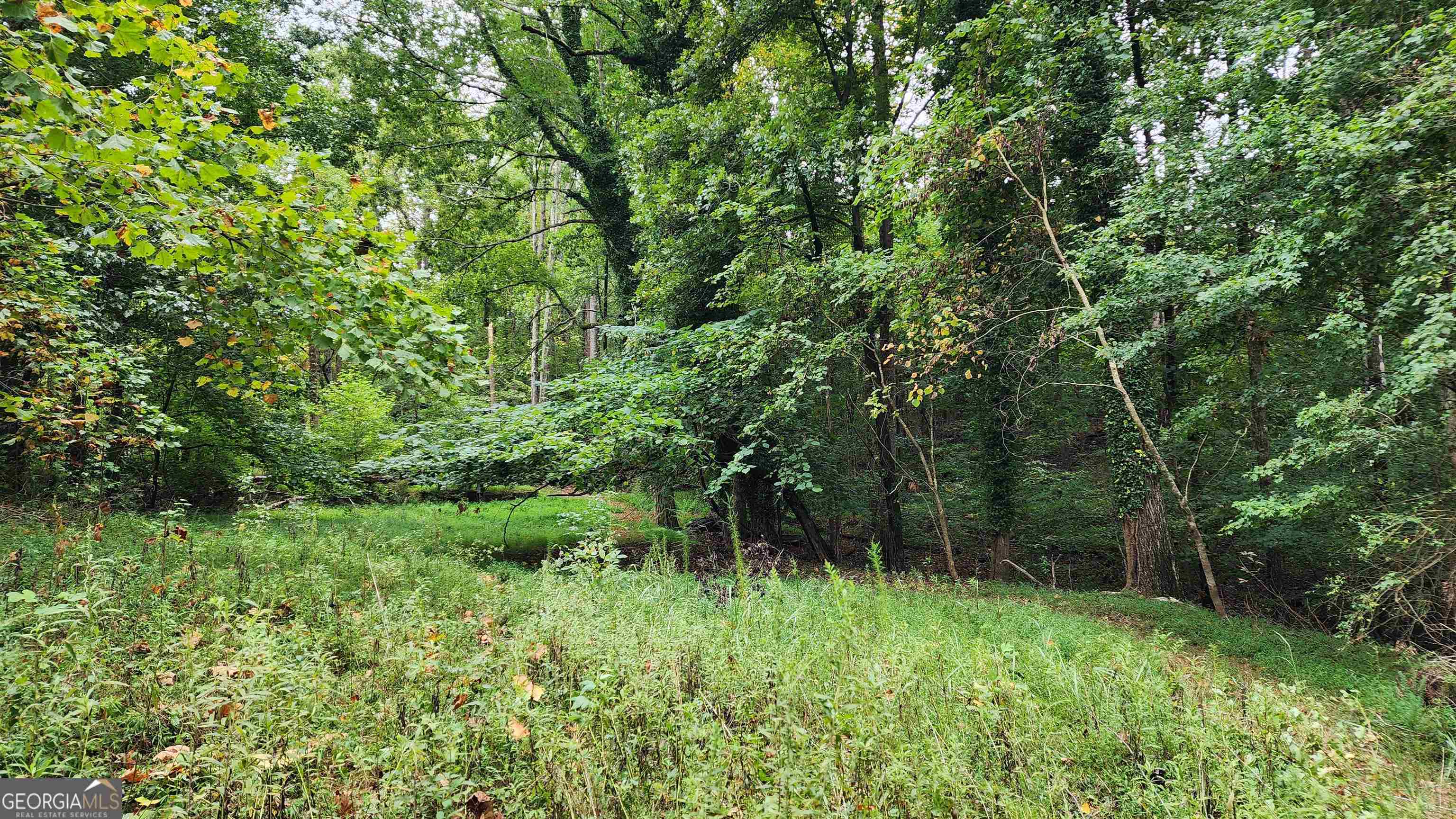 1661 Friendship Road Hoschton GA 30548