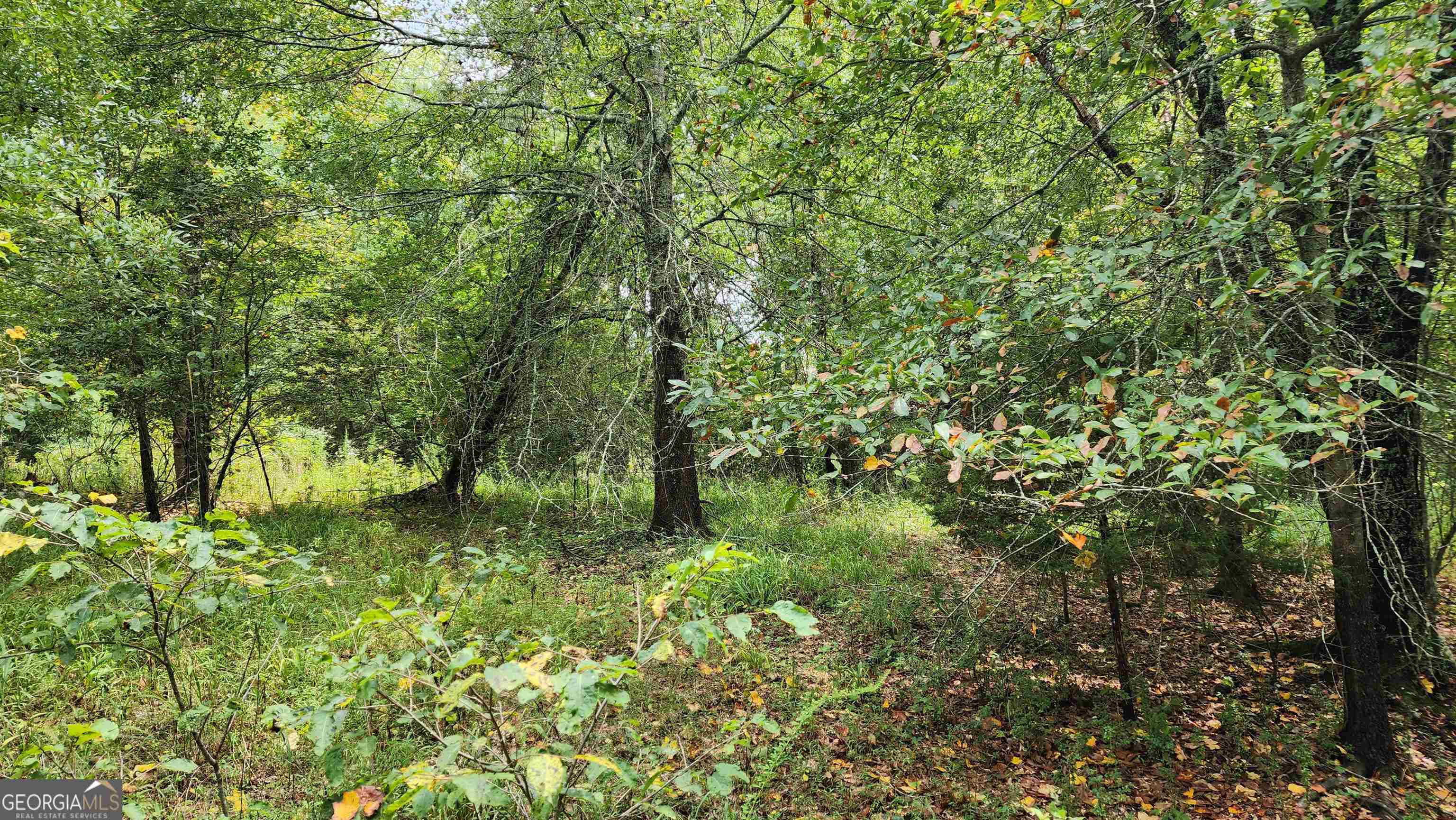 1661 Friendship Road Hoschton GA 30548
