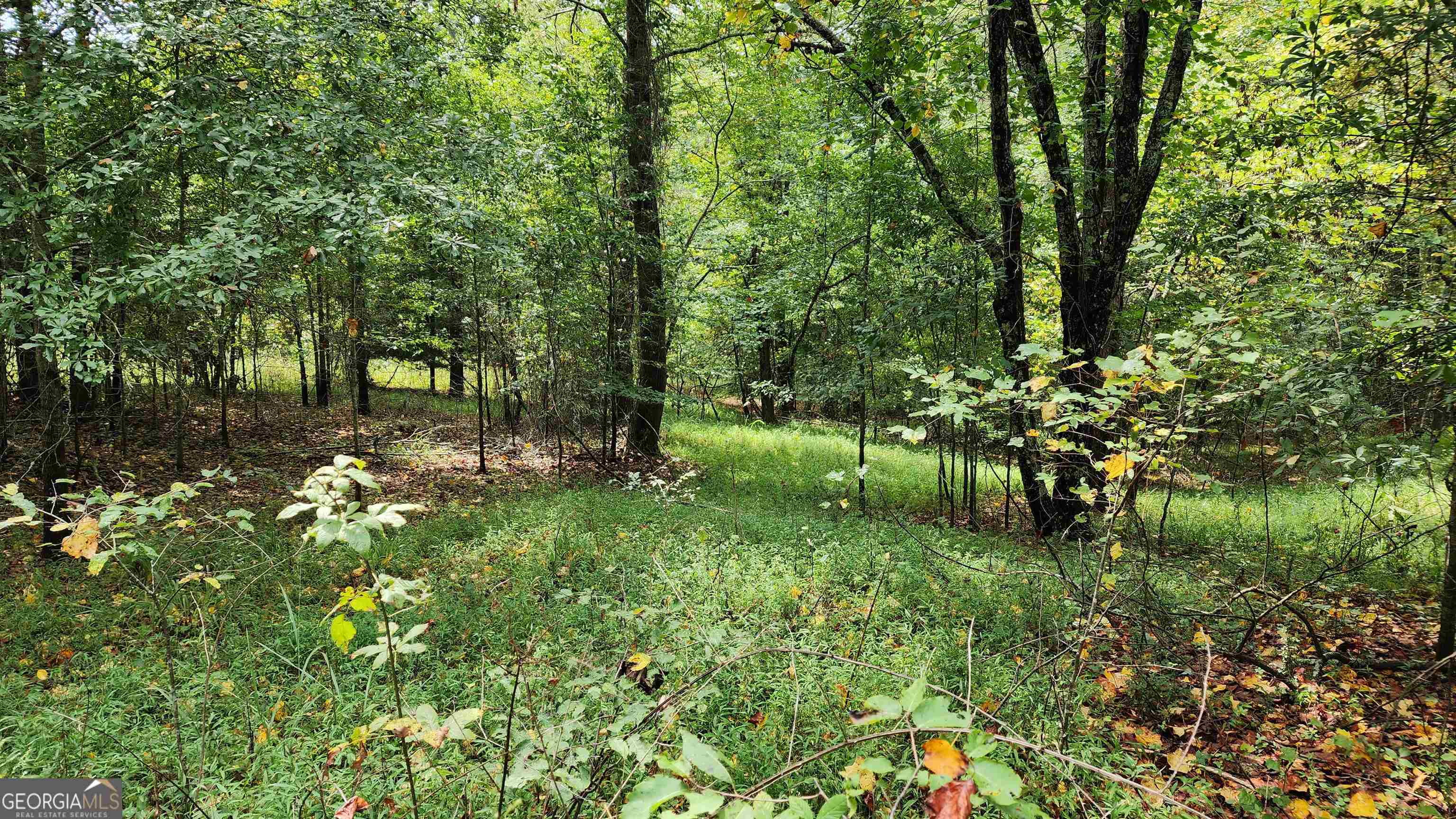 1661 Friendship Road Hoschton GA 30548