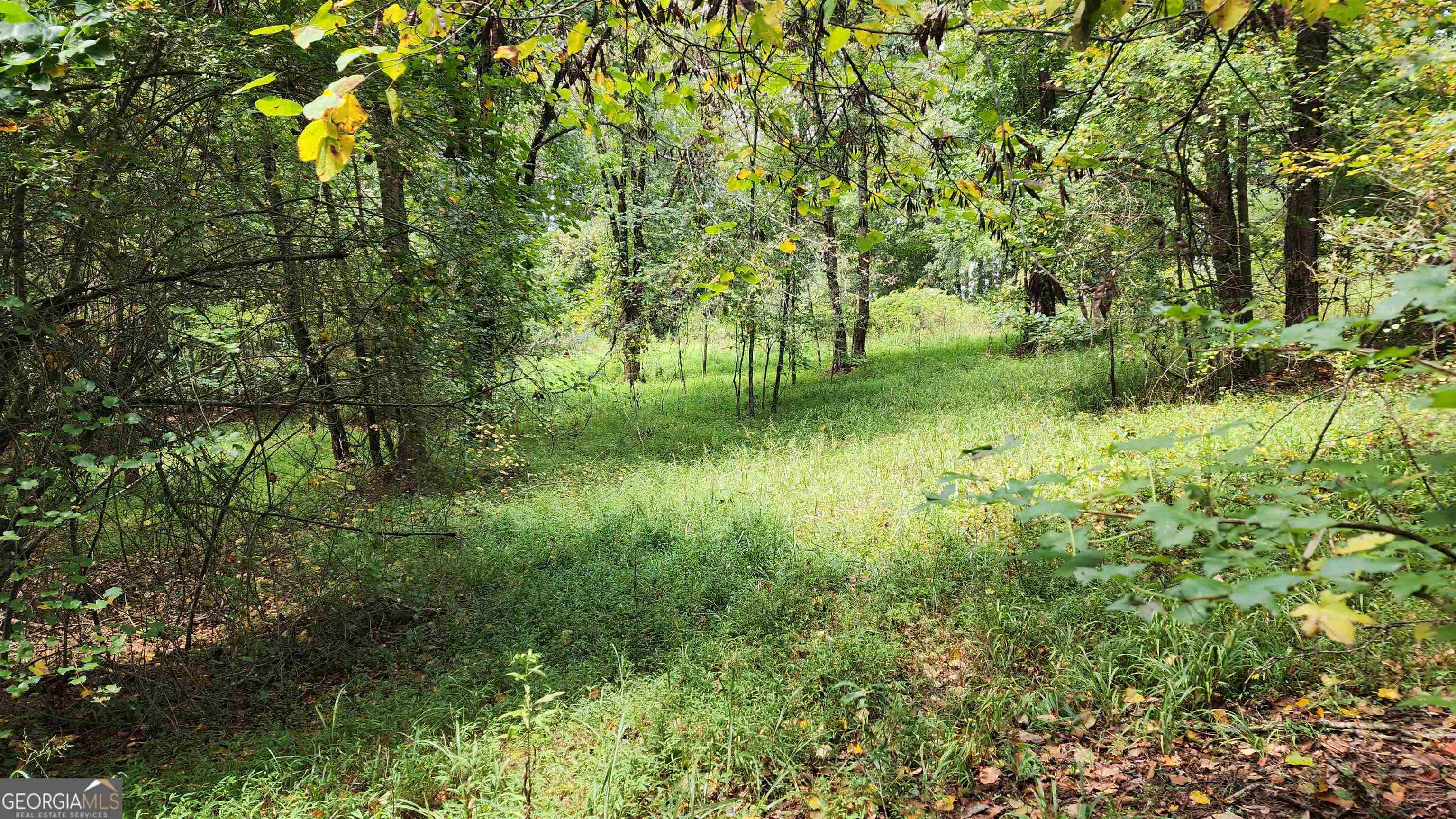 1661 Friendship Road Hoschton GA 30548