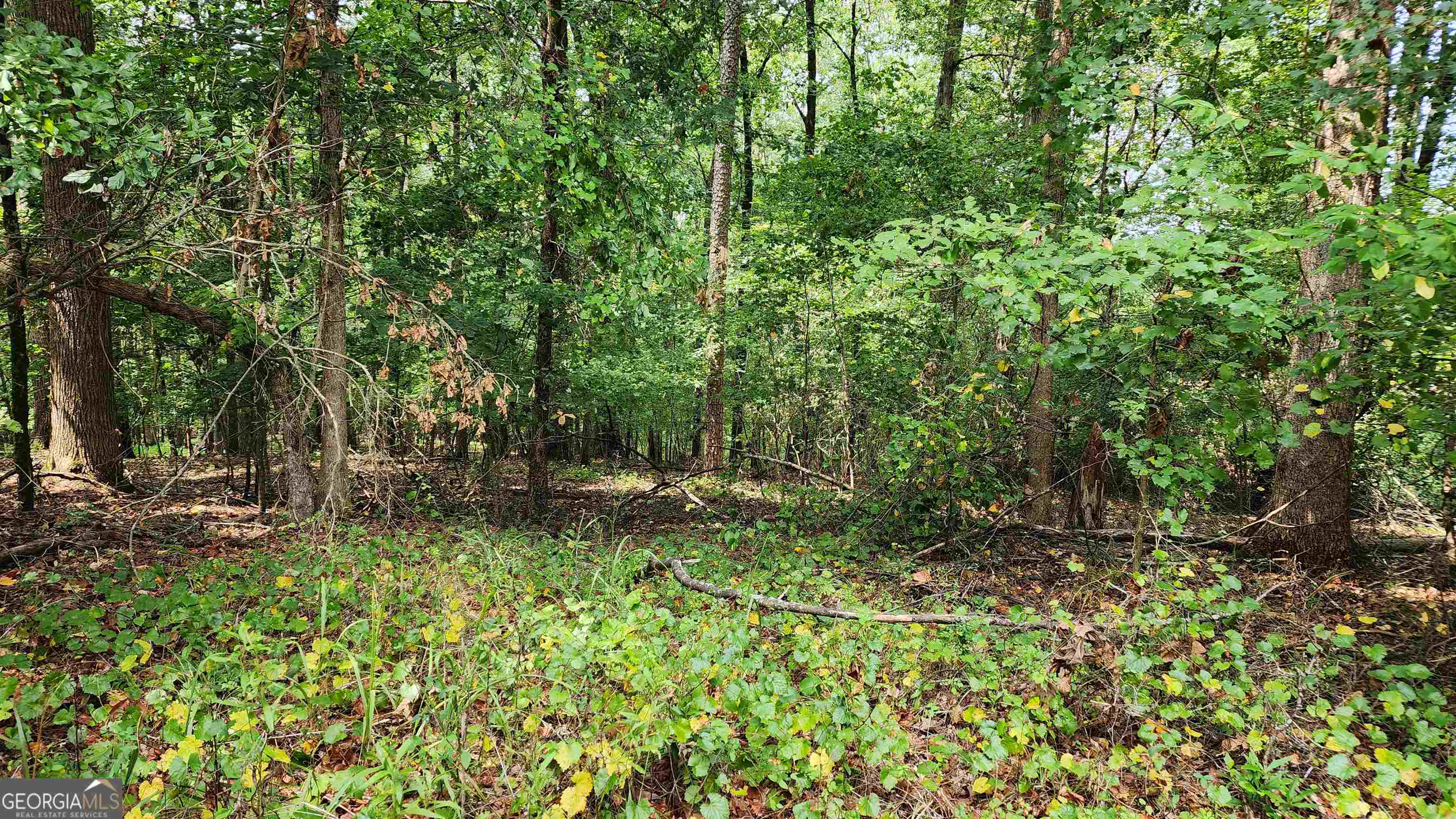 1661 Friendship Road Hoschton GA 30548