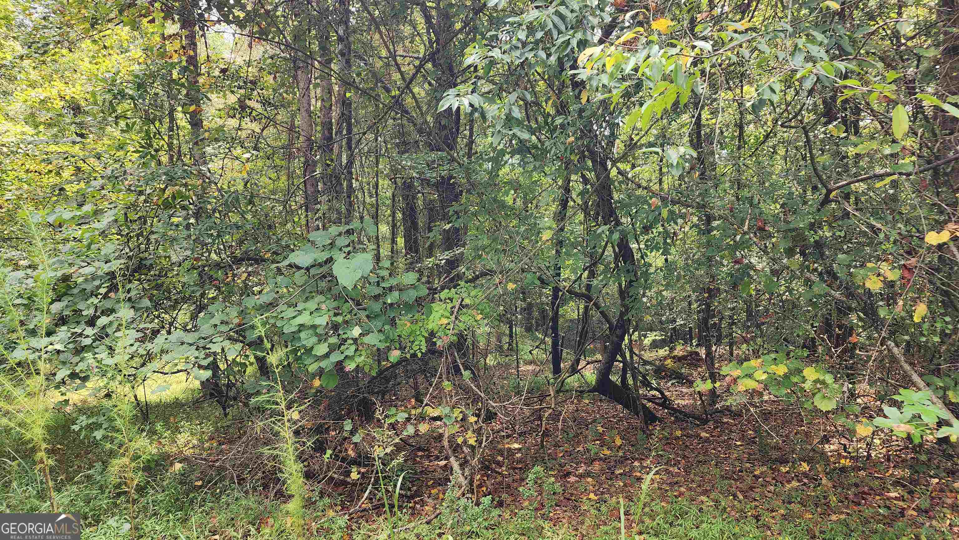 1661 Friendship Road Hoschton GA 30548