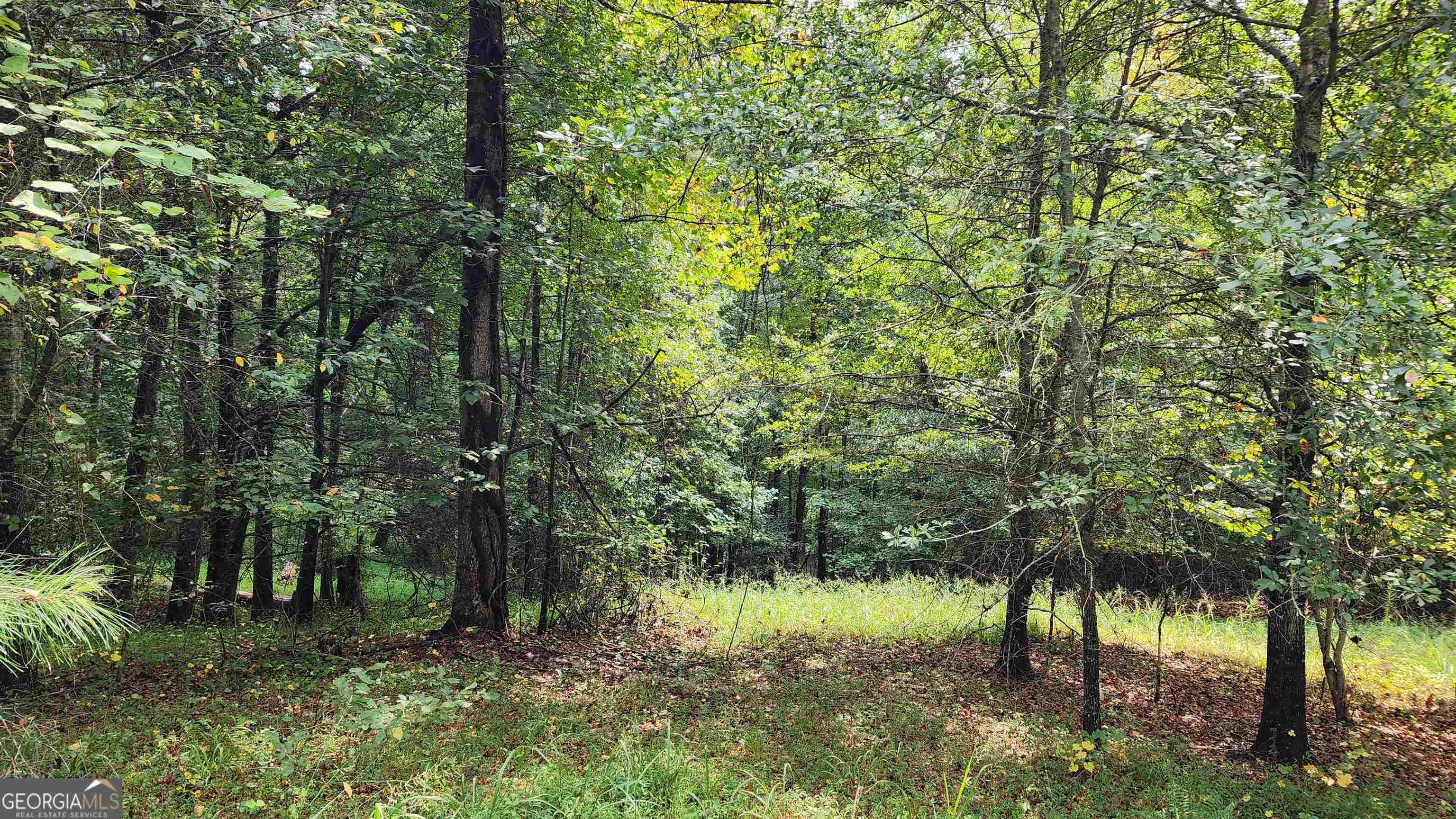 1661 Friendship Road Hoschton GA 30548