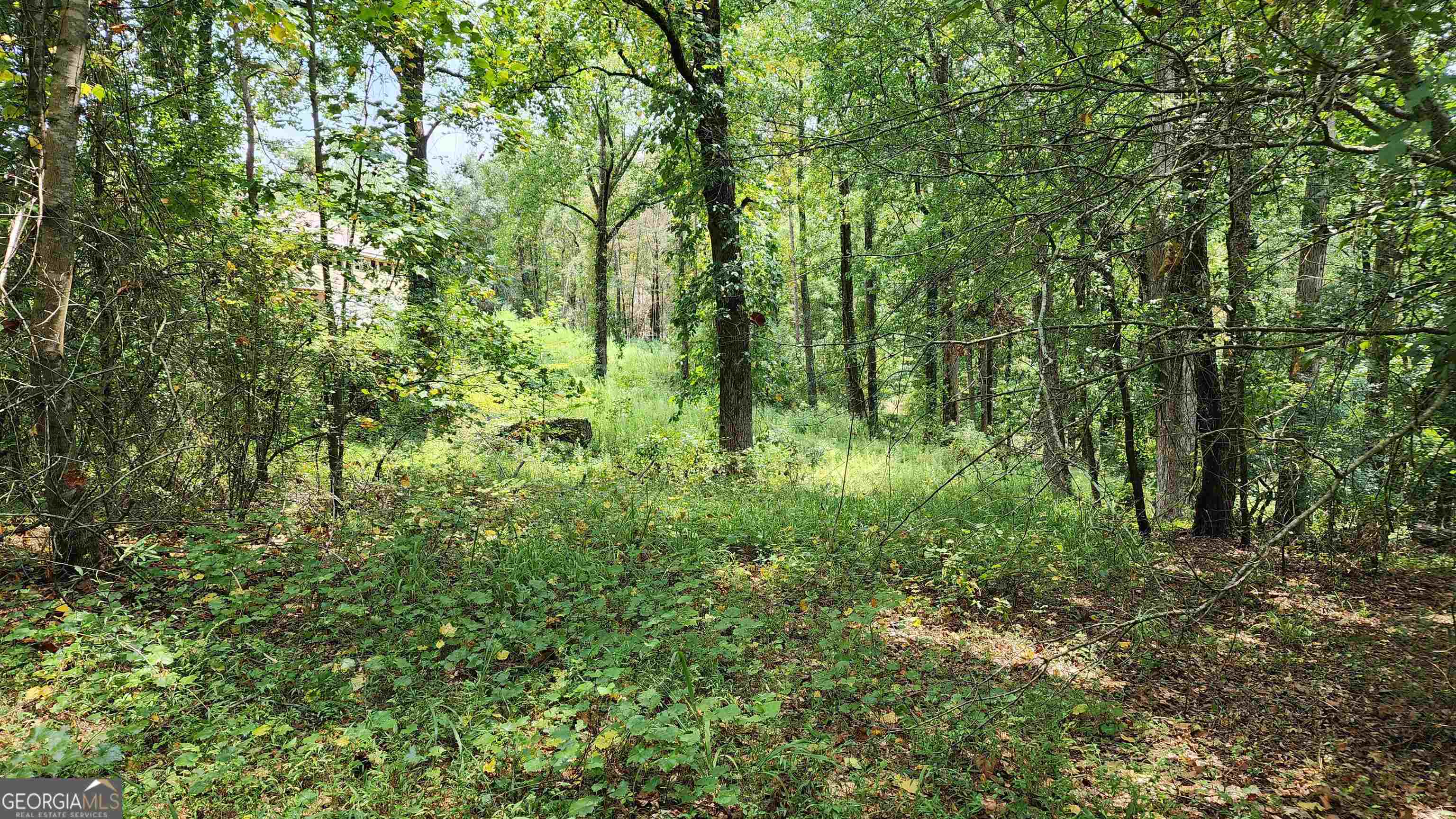 1661 Friendship Road Hoschton GA 30548