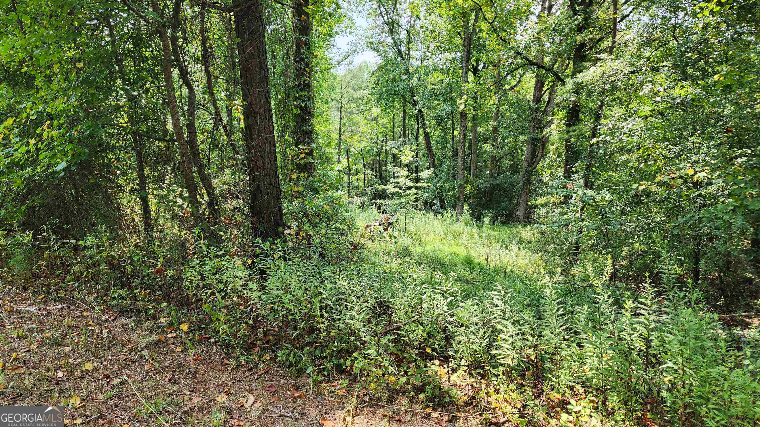 1661 Friendship Road Hoschton GA 30548