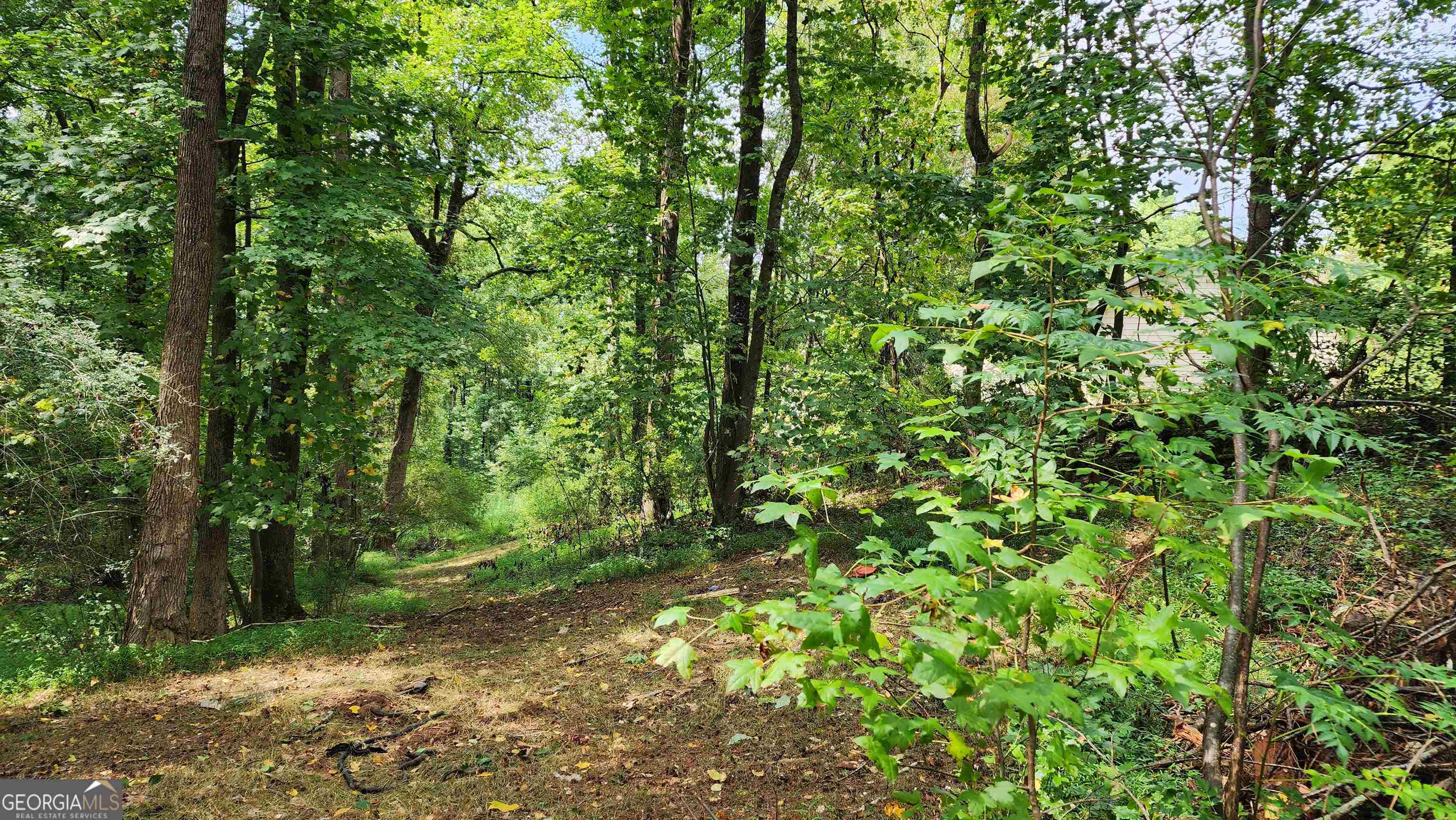 1661 Friendship Road Hoschton GA 30548