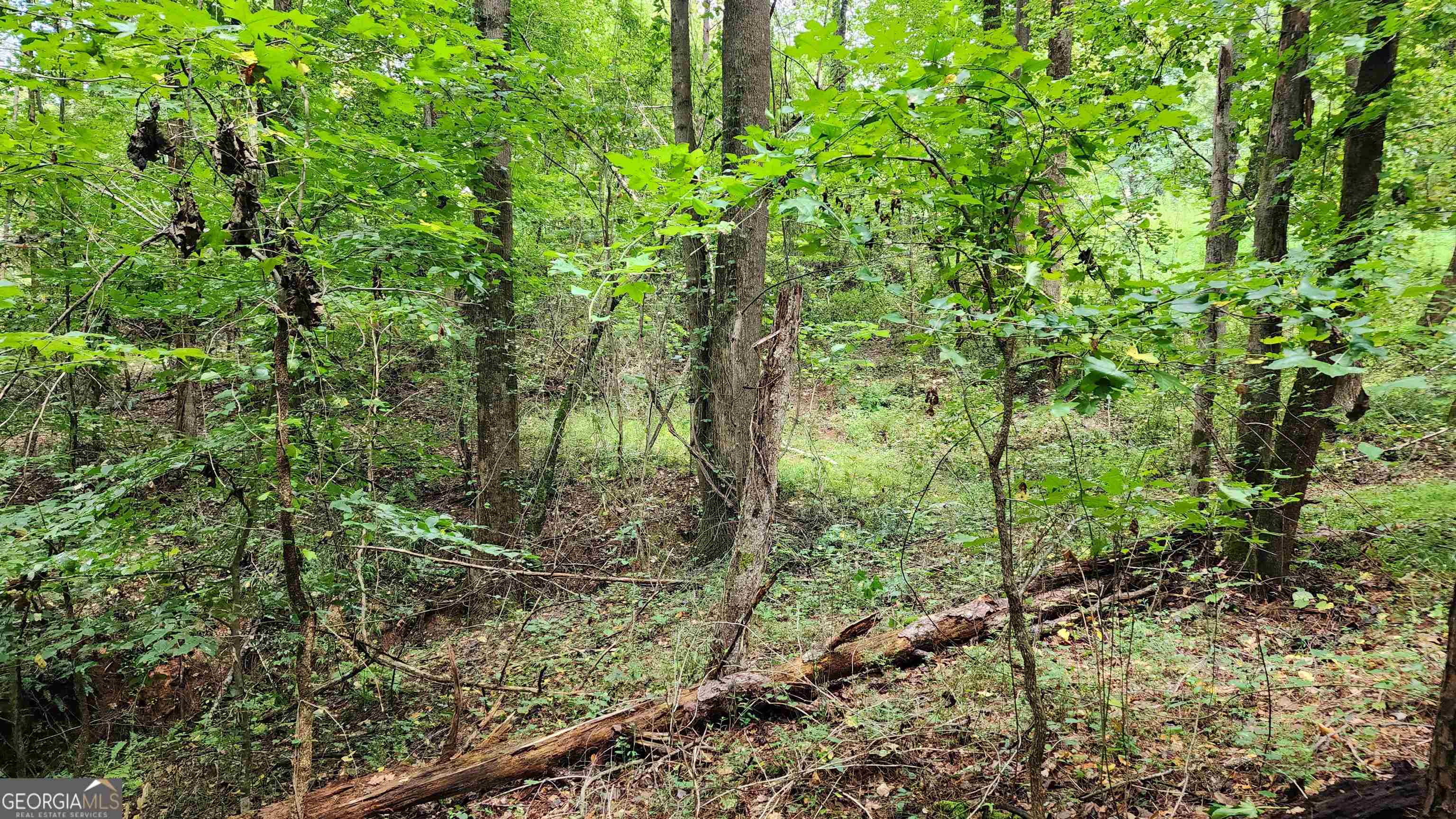 1661 Friendship Road Hoschton GA 30548