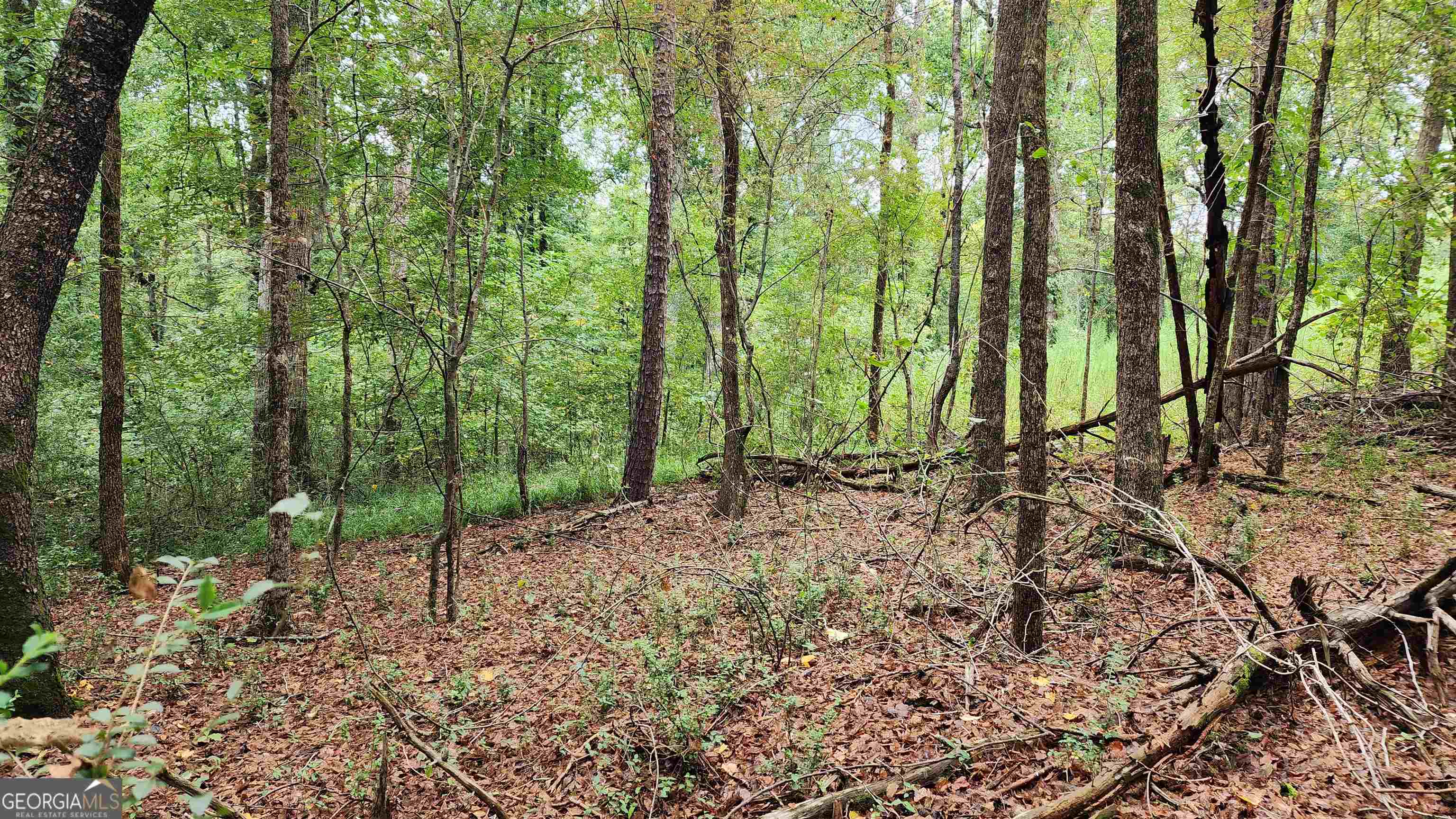 1661 Friendship Road Hoschton GA 30548