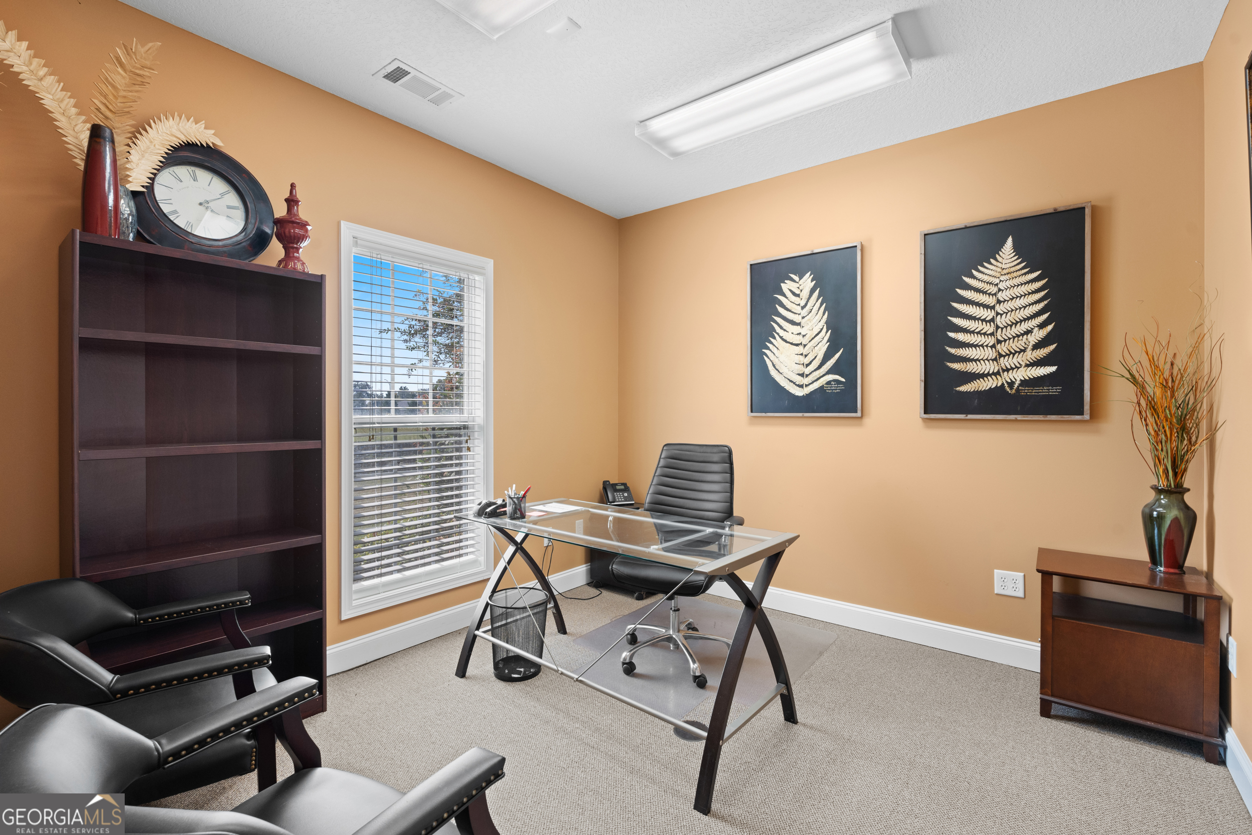 1135 E Hiawatha Street Metter GA 30439