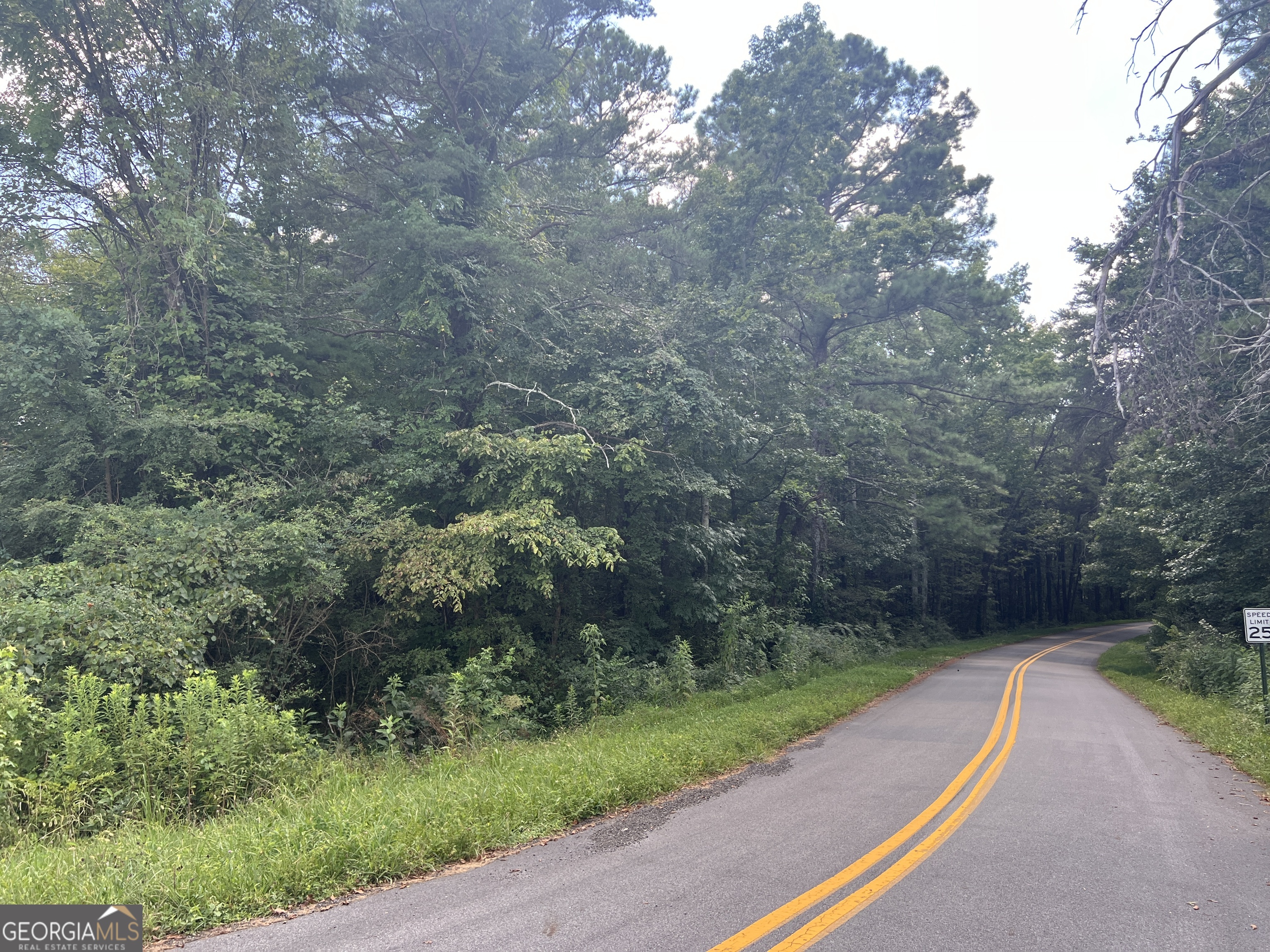 0 Highway 411 Rydal GA 30171