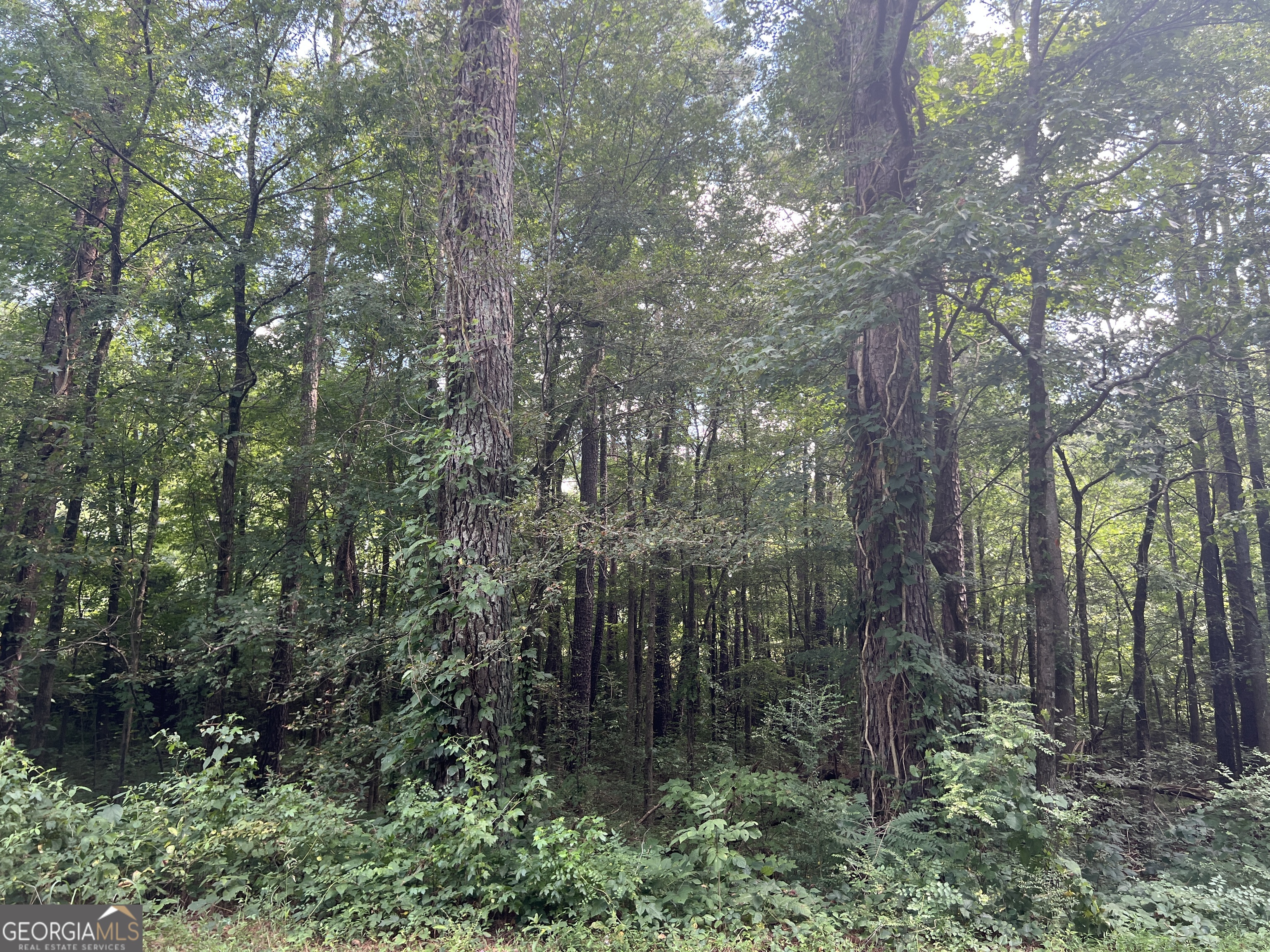0 Highway 411 Rydal GA 30171