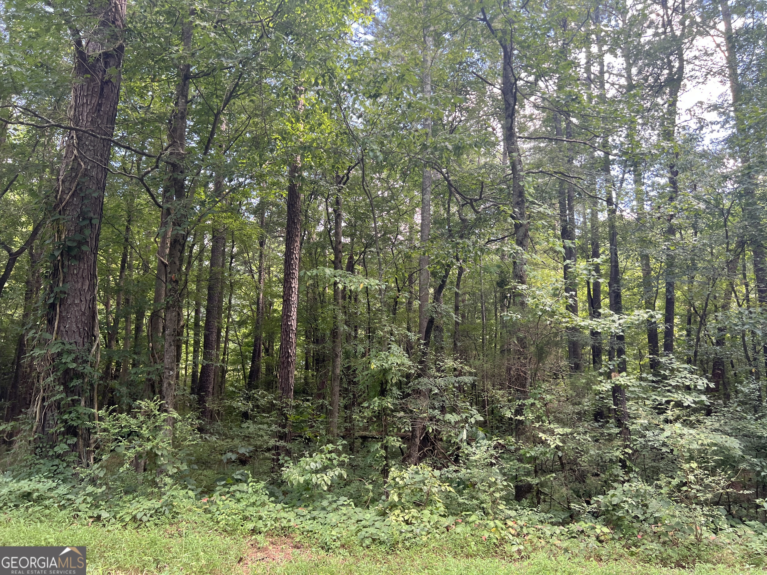0 Highway 411 Rydal GA 30171
