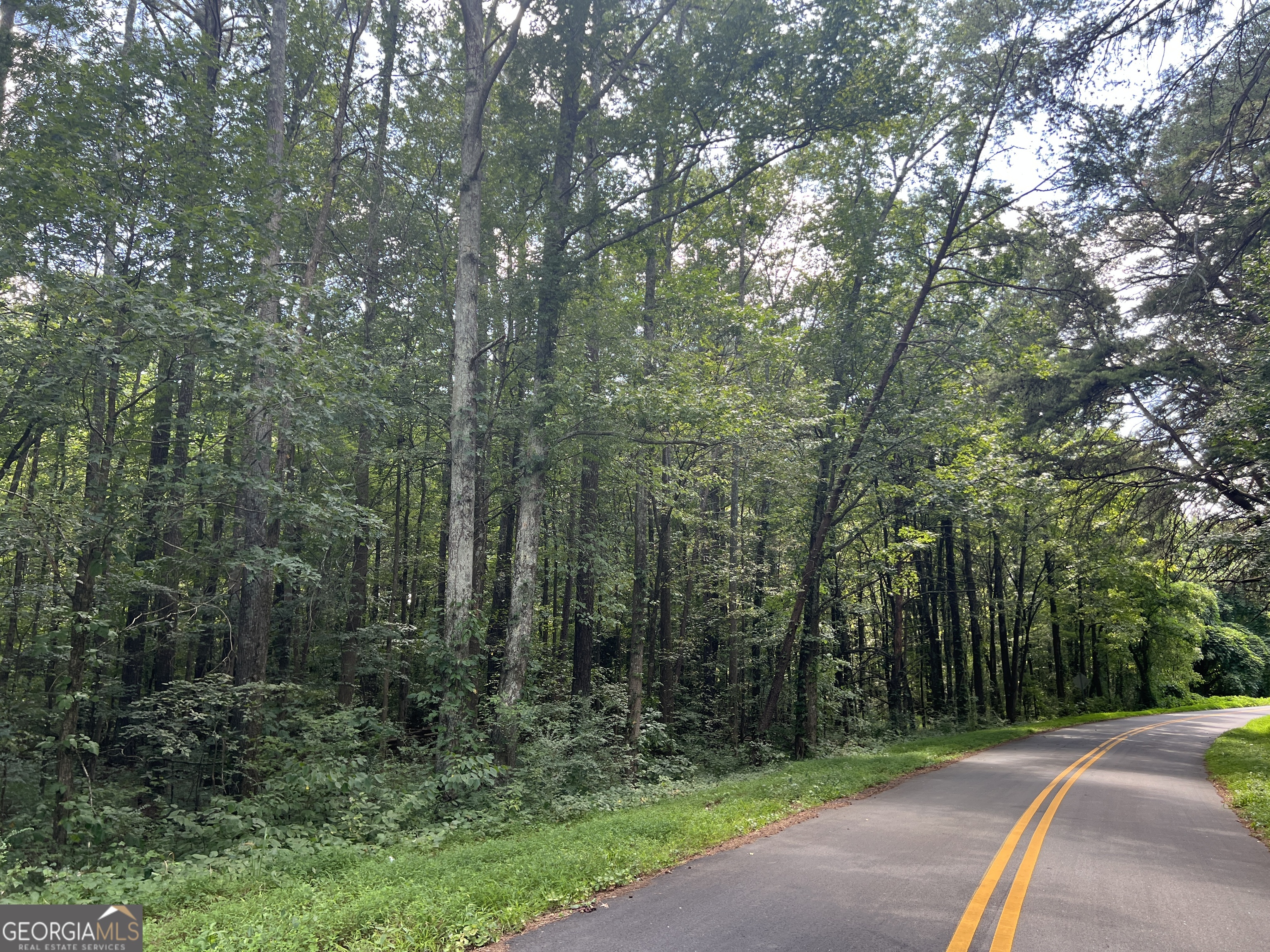 0 Highway 411 Rydal GA 30171