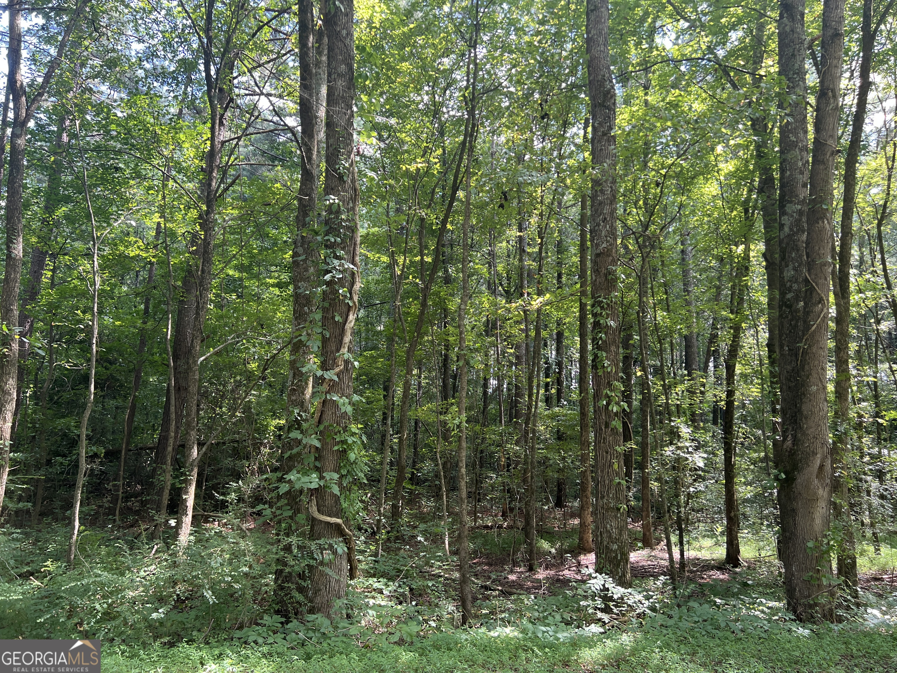 0 Highway 411 Rydal GA 30171