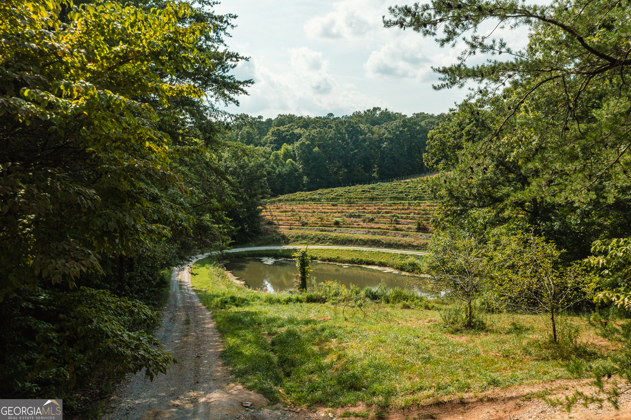 9975 Ball Ground Highway Ball Ground GA 30107