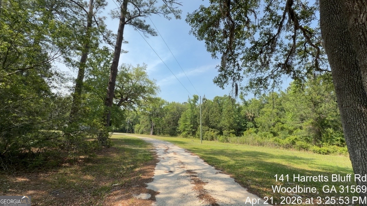 141 Harrietts Bluff Road Woodbine GA 31569