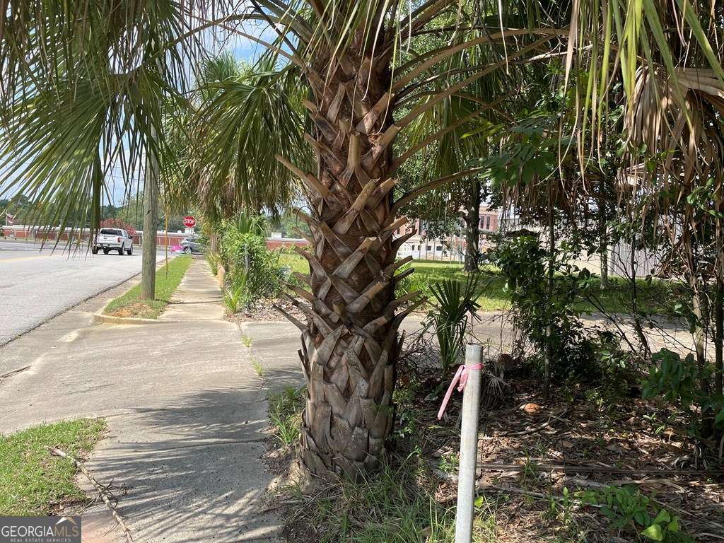 321 W Liberty Avenue Lyons GA 30436